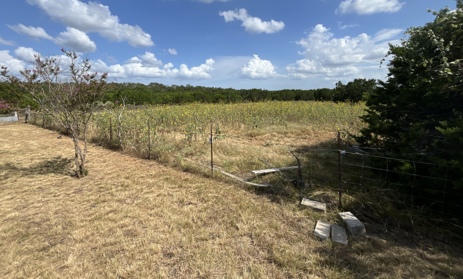 Property image 20 / 23